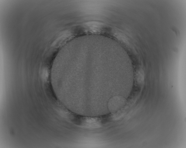 X0000113850709200910081646