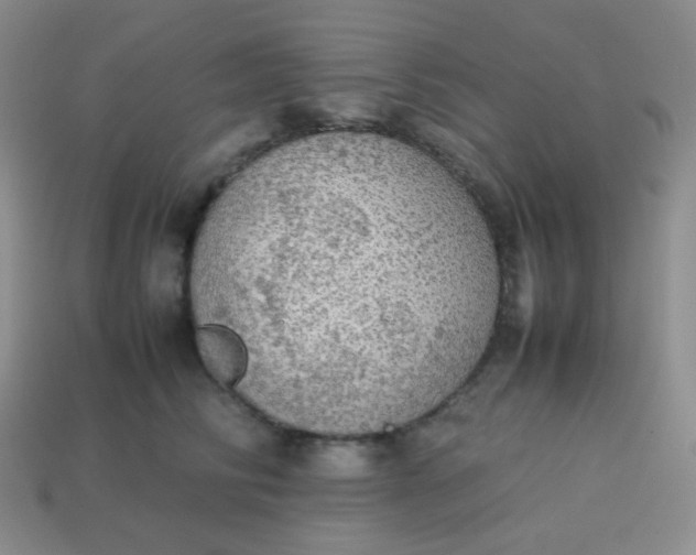 X0000113850710200910081646