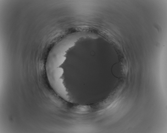 X0000113850711200910081646