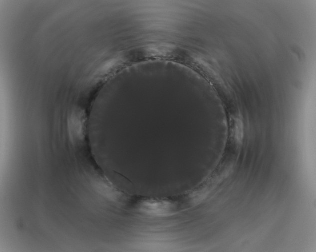 X0000113850712200910081646