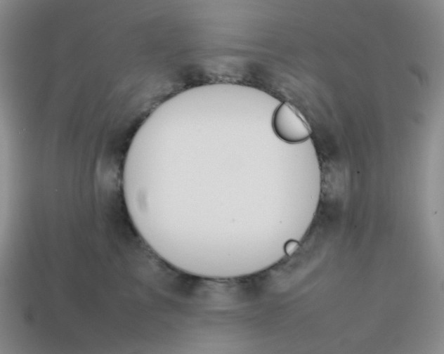 X0000113850713200910081646