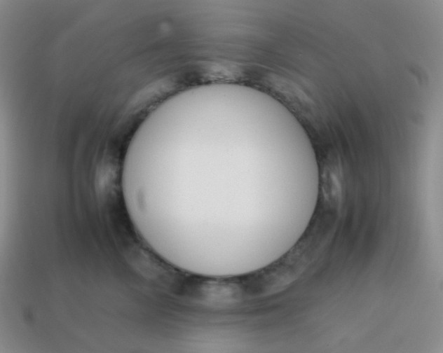 X0000113850714200910081646