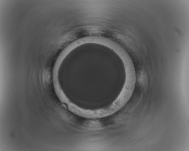 X0000113850715200910081646