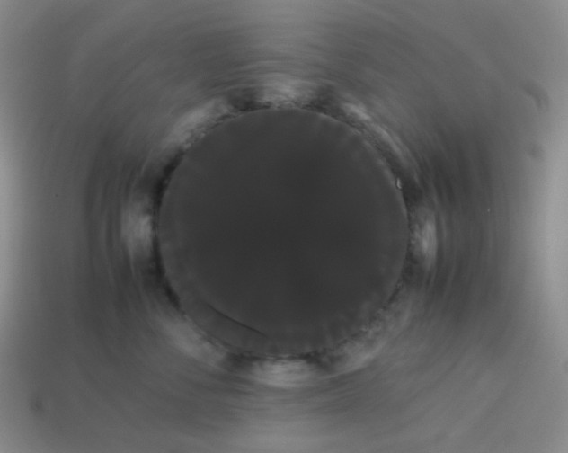 X0000113850716200910081646