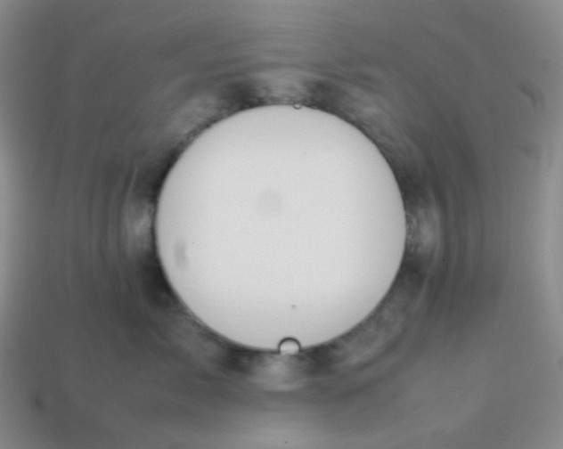 X0000113850717200910081646