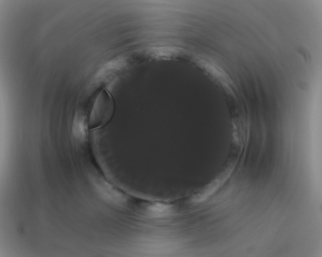 X0000113850718200910081646