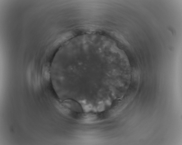 X0000113850719200910081646