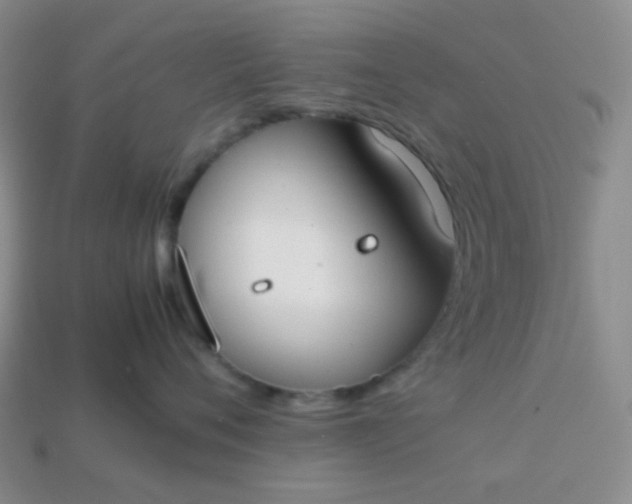 X0000113850720200910081646