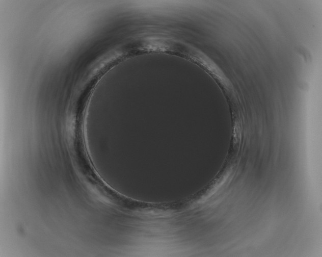 X0000113850722200910081645