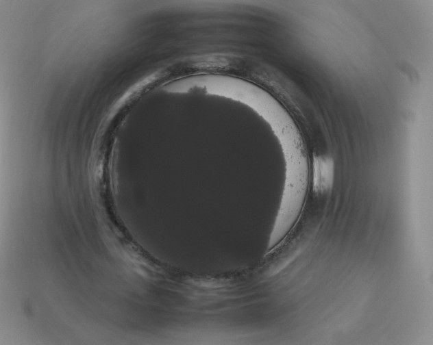 X0000113850723200910081645