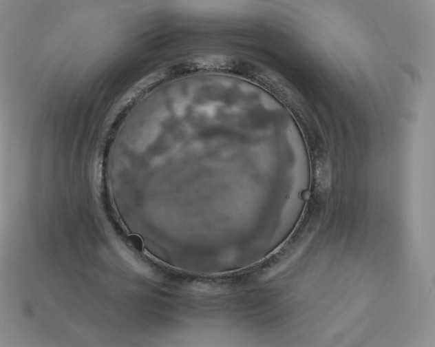 X0000113850725200910081645