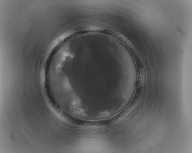 X0000113850726200910081645