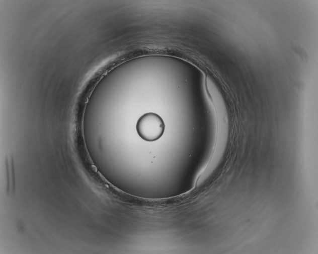 X0000113850728200910081645