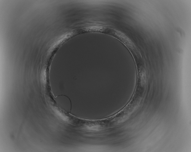 X0000113850729200910081645