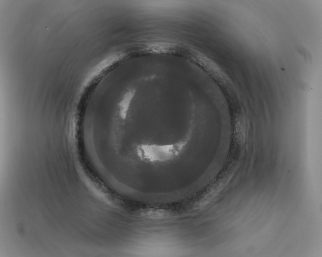 X0000113850730200910081645