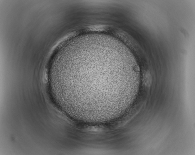 X0000113850731200910081645