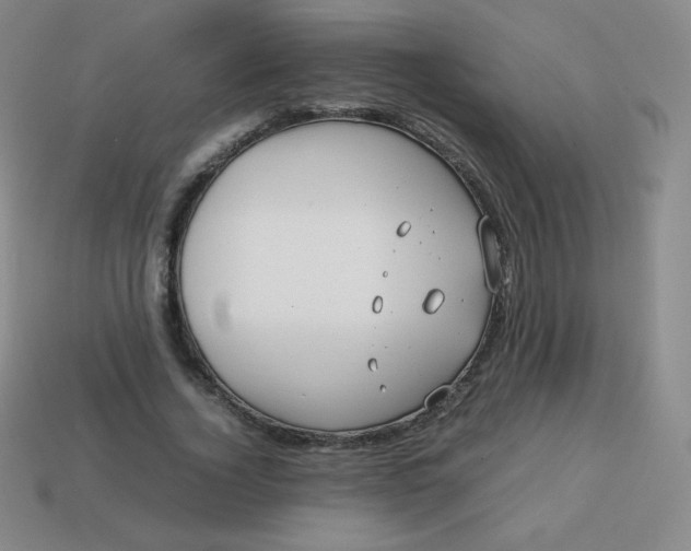 X0000113850732200910081645