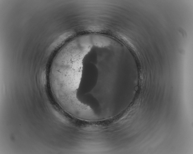 X0000113850734200910081645