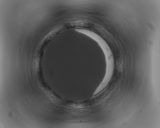 X0000113850735200910081645