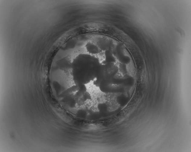 X0000113850737200910081645