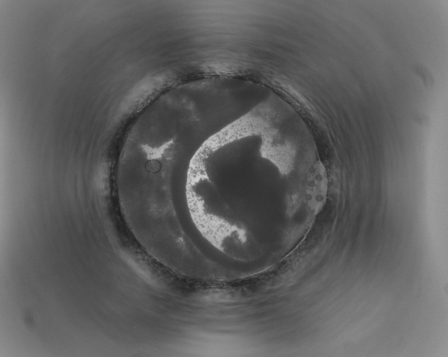 X0000113850738200910081645