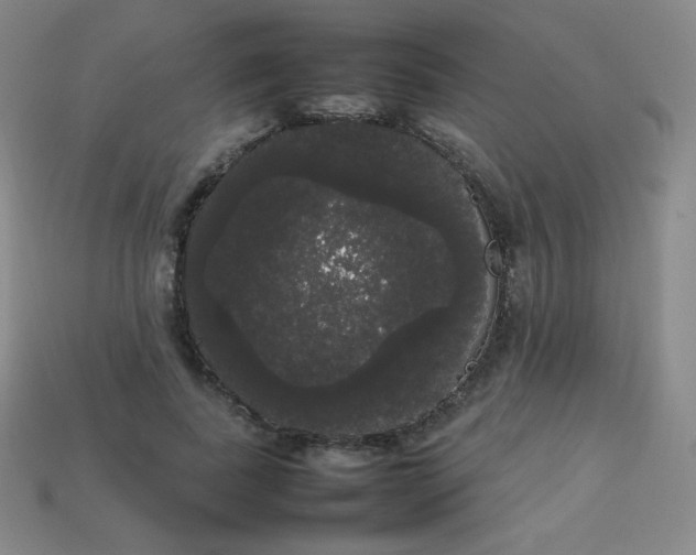 X0000113850739200910081645