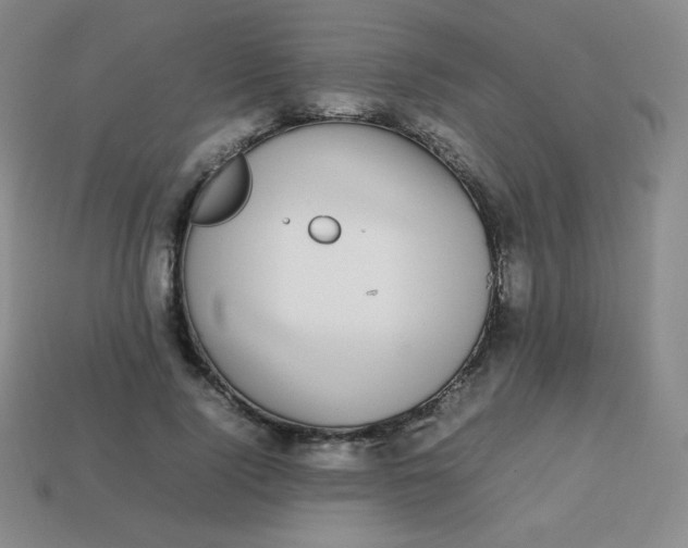 X0000113850740200910081645