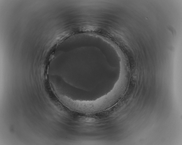 X0000113850743200910081645