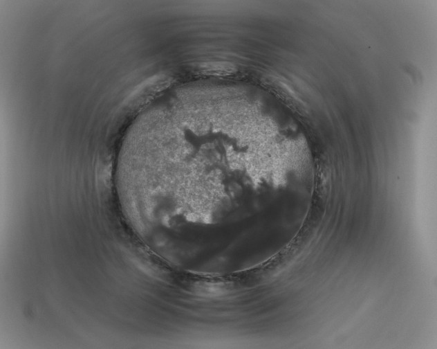 X0000113850745200910081645