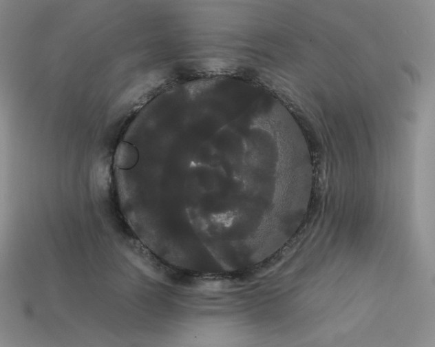 X0000113850746200910081645