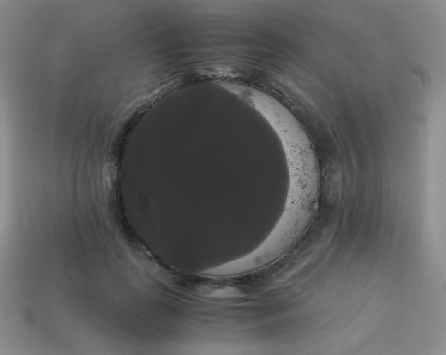 X0000113850747200910081645