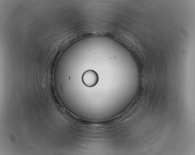 X0000113850748200910081645