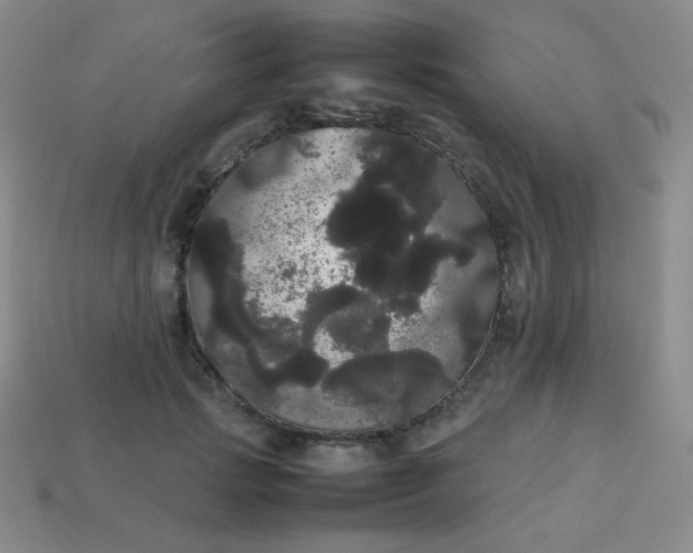 X0000113850749200910081645