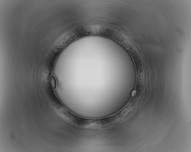 X0000113850750200910081645