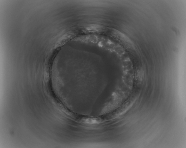 X0000113850751200910081645