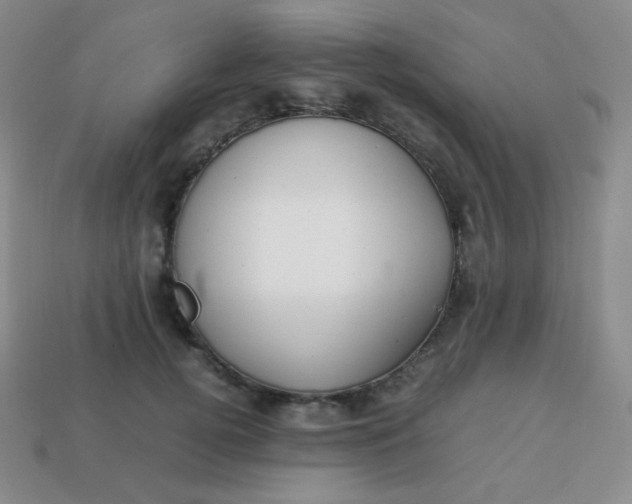 X0000113850752200910081645