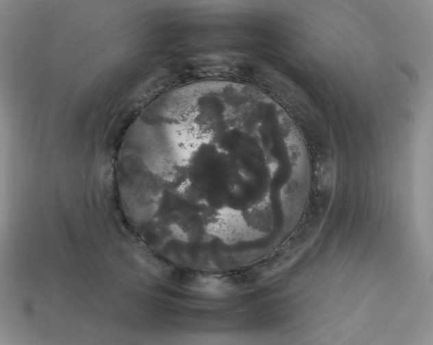 X0000113850753200910081645