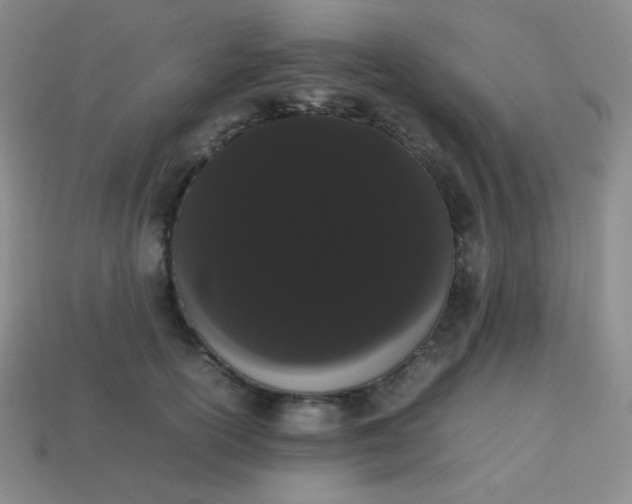 X0000113850754200910081645