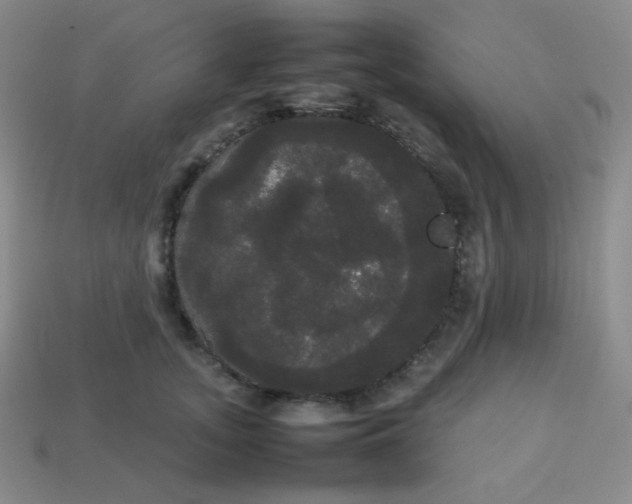 X0000113850755200910081645