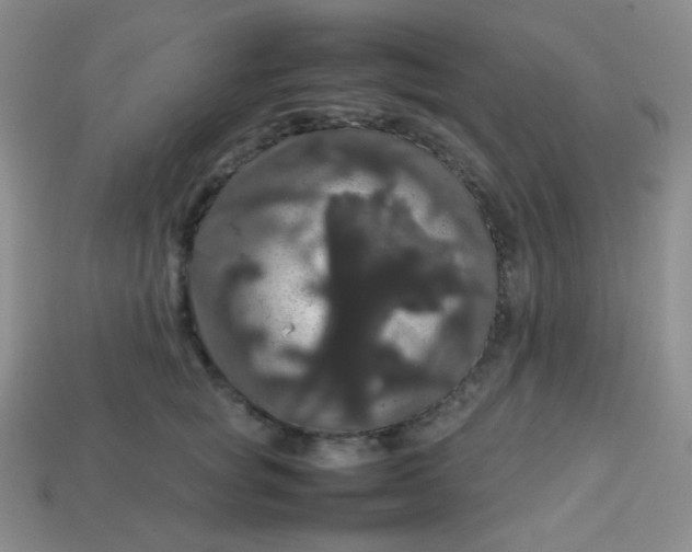 X0000113850757200910081645