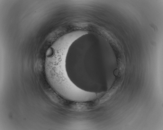 X0000113850758200910081645