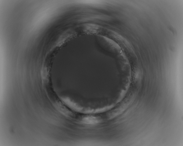 X0000113850759200910081645