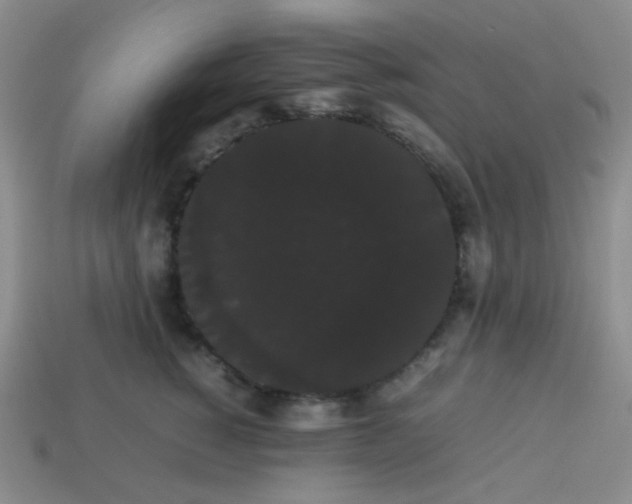 X0000113850760200910081645