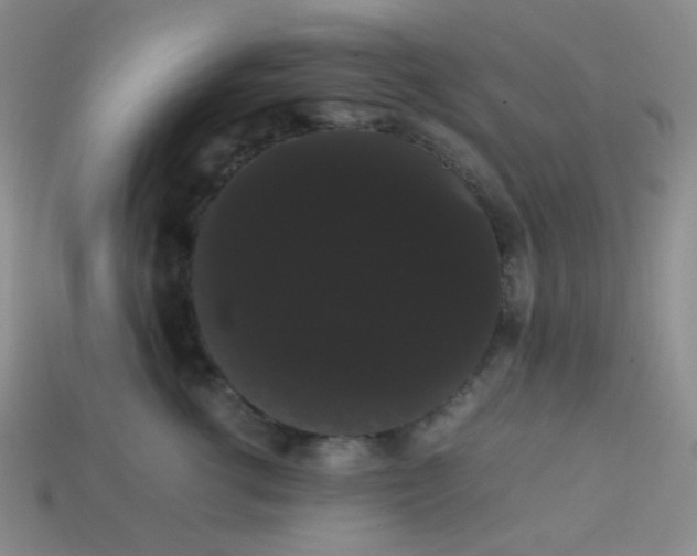 X0000113850762200910081645