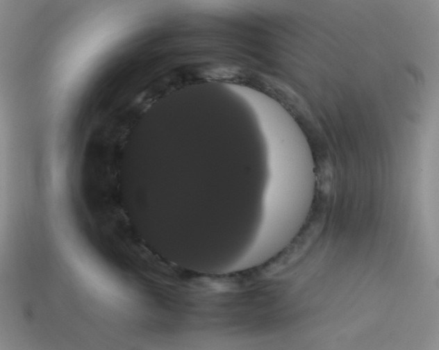 X0000113850763200910081645