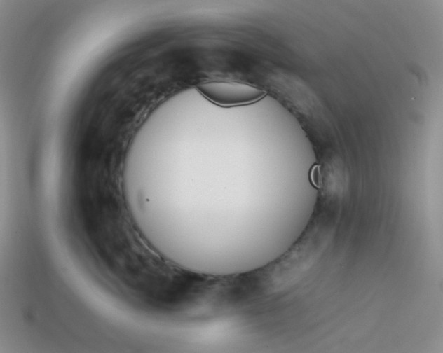 X0000113850764200910081645