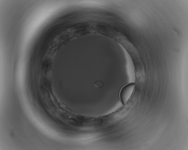 X0000113850765200910081645