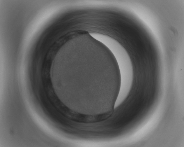 X0000113850766200910081645