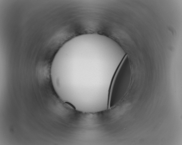 X0000113850768200910081646