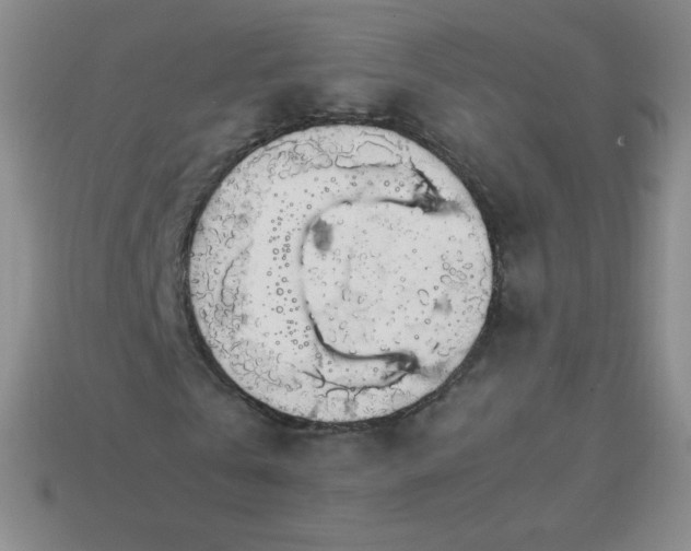 X0000113850769200910081645